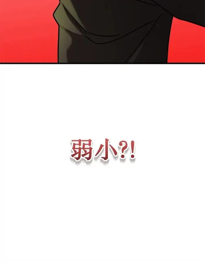 《神级英雄们的继承者》33.被攻击图166