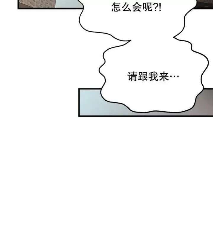 《神级英雄们的继承者》36.小偷图112