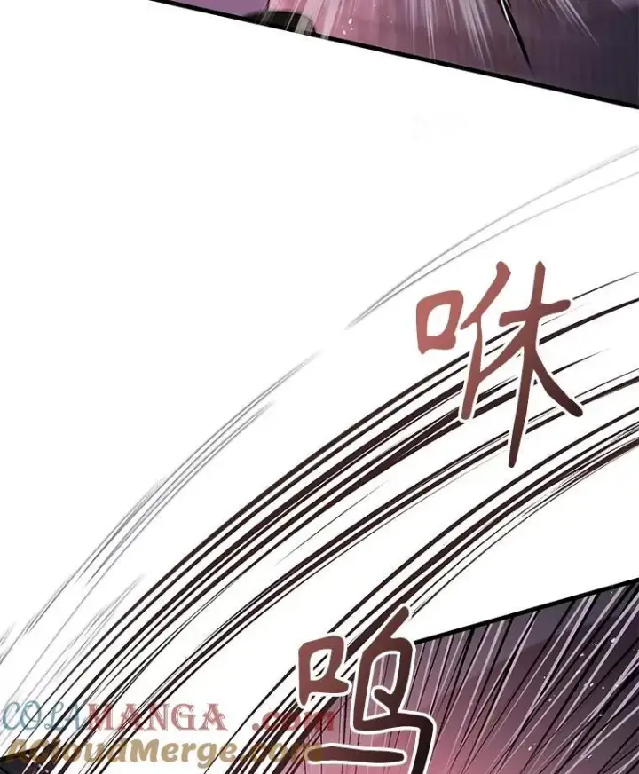 《神级英雄们的继承者》41.重身幽灵图93