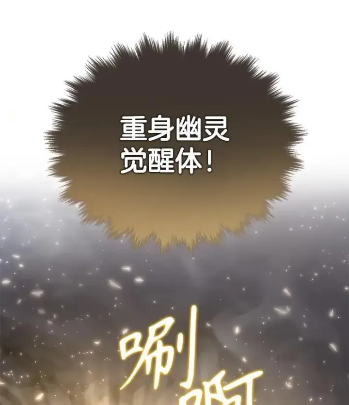 《神级英雄们的继承者》42.觉醒体图123