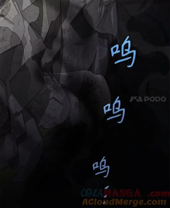 《神级英雄们的继承者》46.艾丹的认可图113