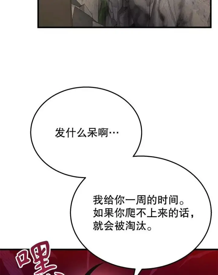 《神级英雄们的继承者》46.艾丹的认可图122