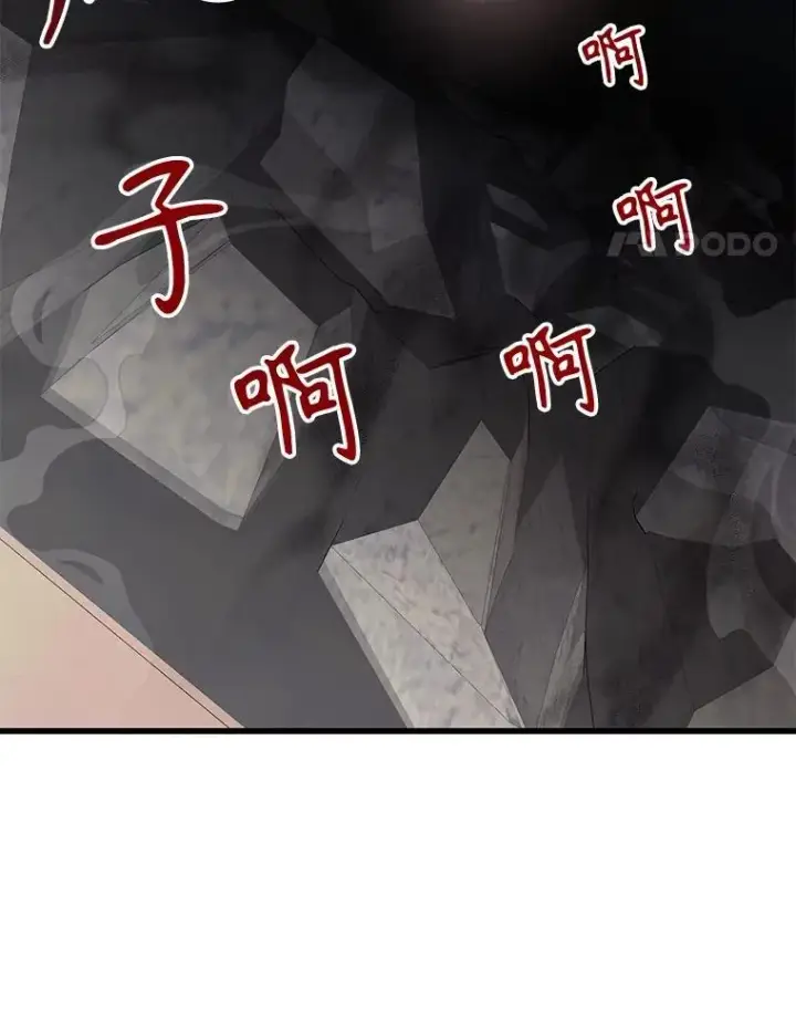 《神级英雄们的继承者》46.艾丹的认可图127