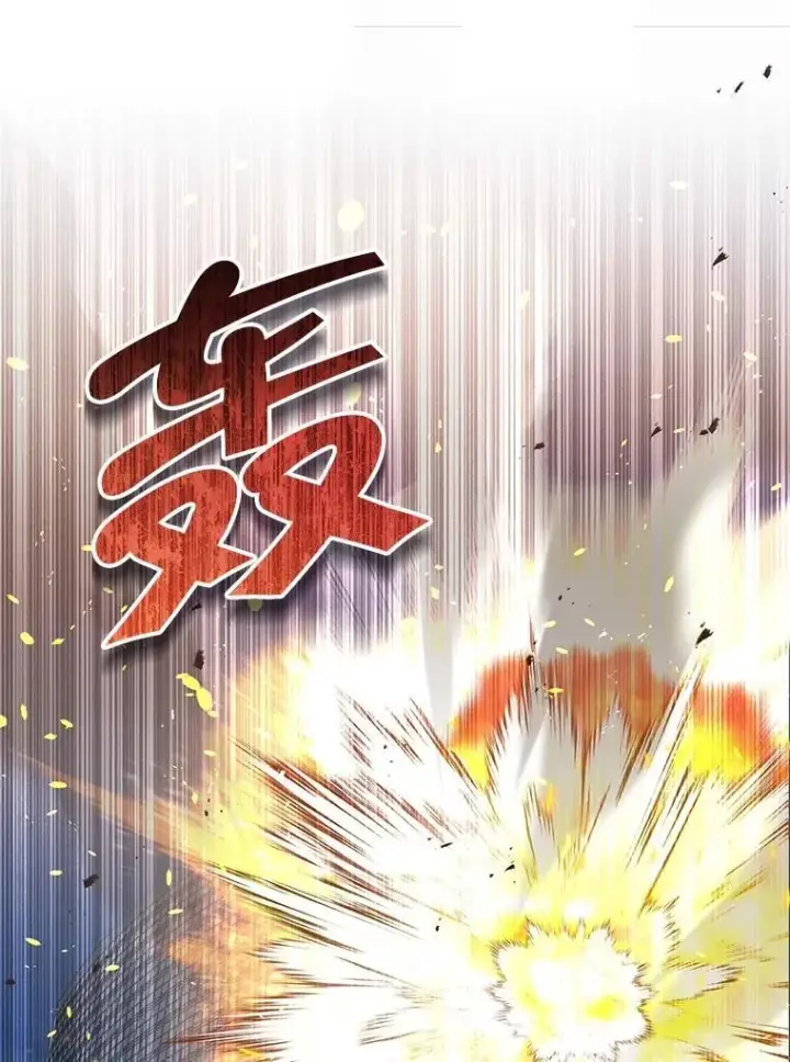 《神级英雄们的继承者》46.艾丹的认可图35