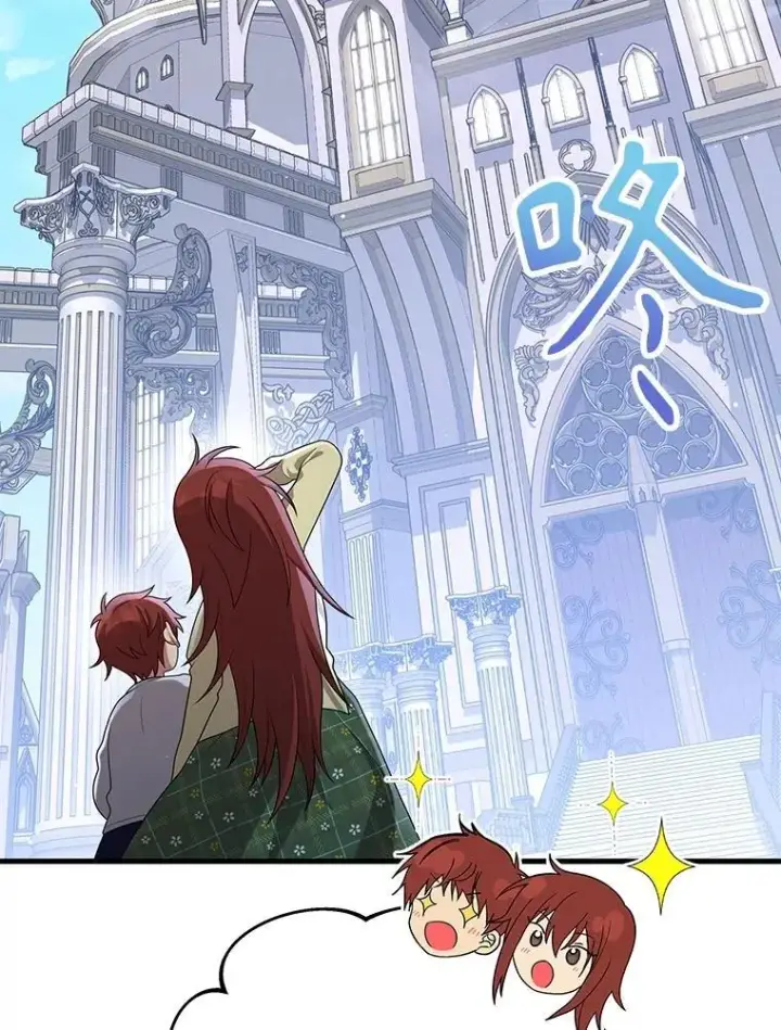 《神级英雄们的继承者》46.艾丹的认可图47