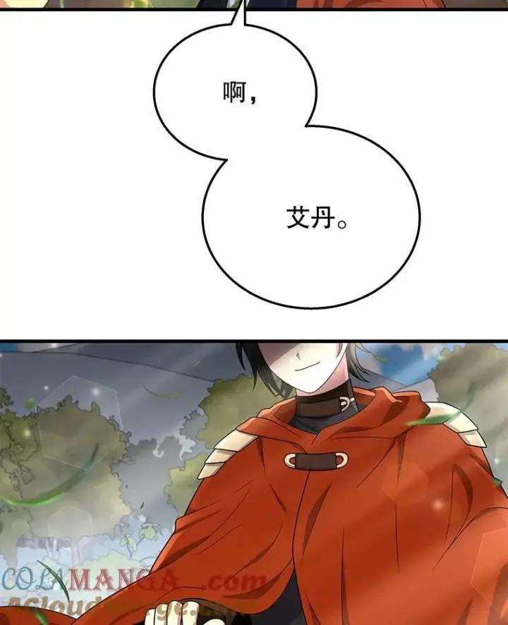 《神级英雄们的继承者》46.艾丹的认可图73