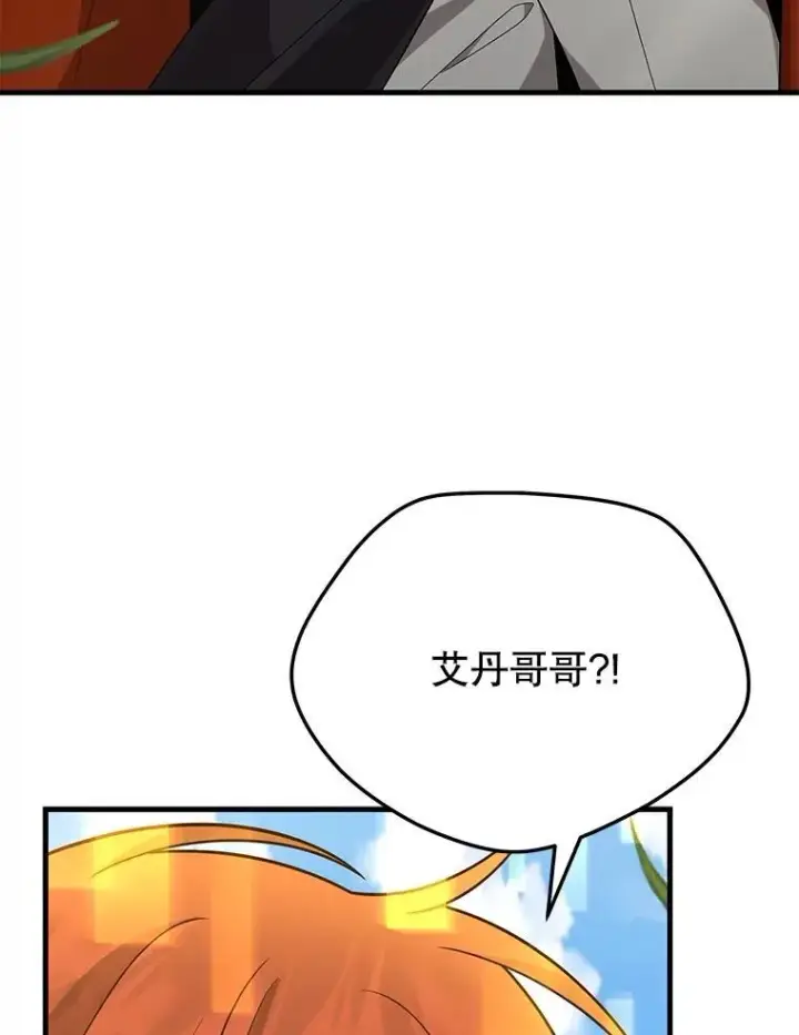《神级英雄们的继承者》46.艾丹的认可图78