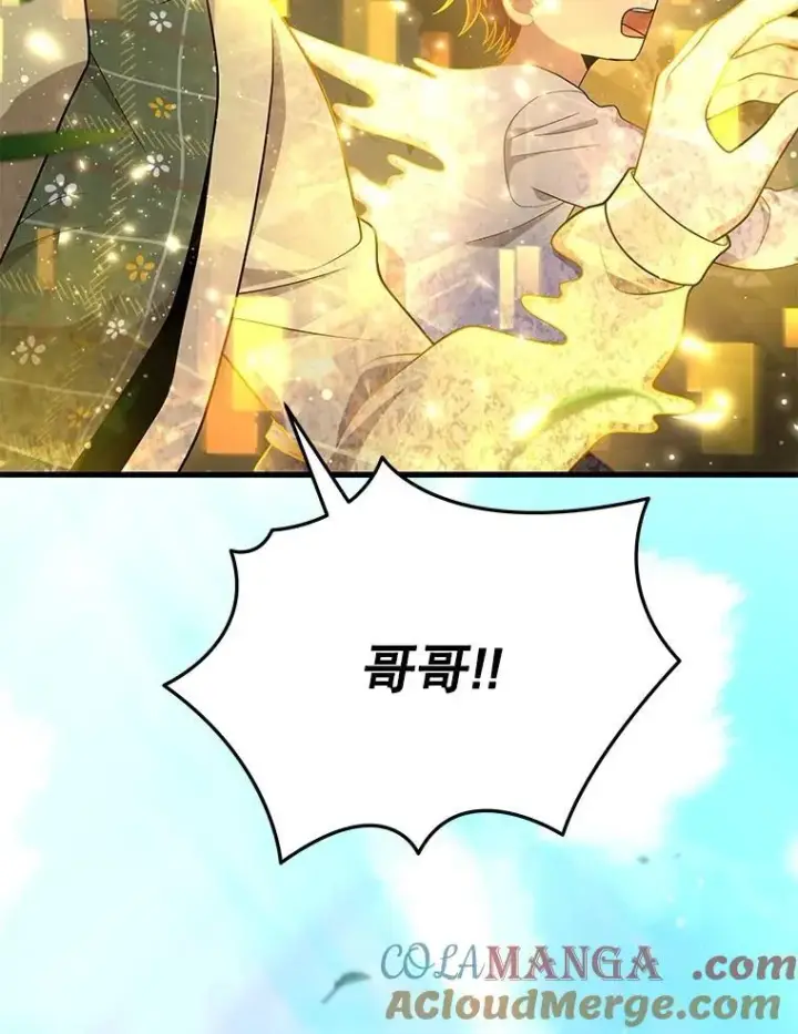 《神级英雄们的继承者》46.艾丹的认可图81