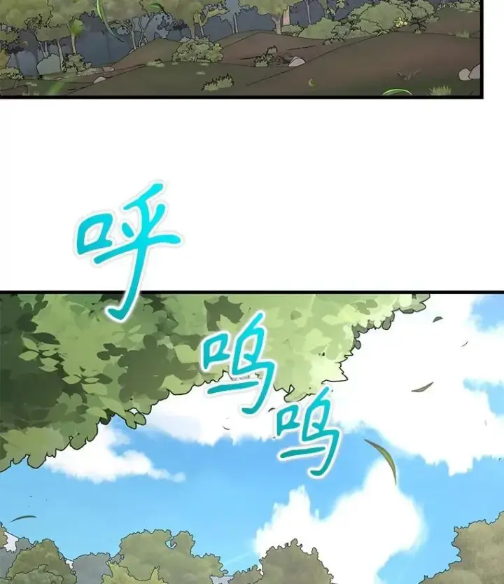 《神级英雄们的继承者》46.艾丹的认可图98