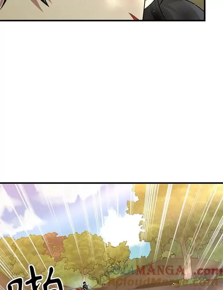 《神级英雄们的继承者》48.魔力石图101