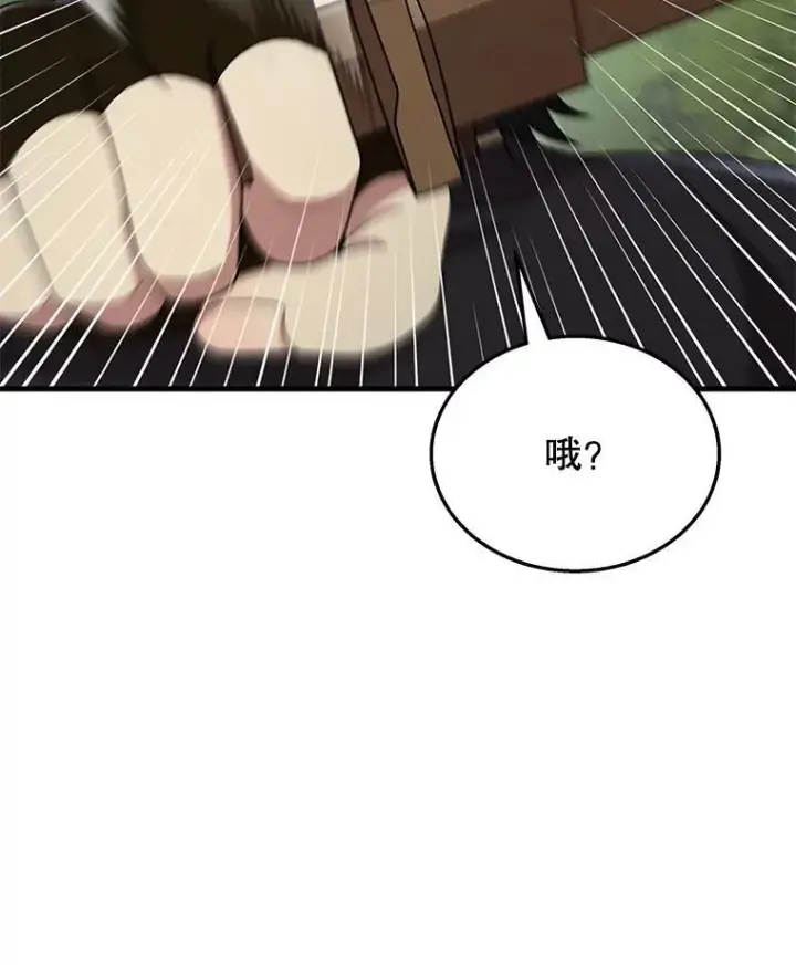 《神级英雄们的继承者》48.魔力石图118