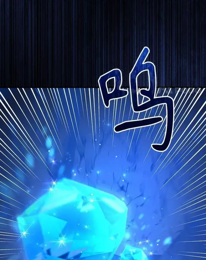 《神级英雄们的继承者》48.魔力石图27