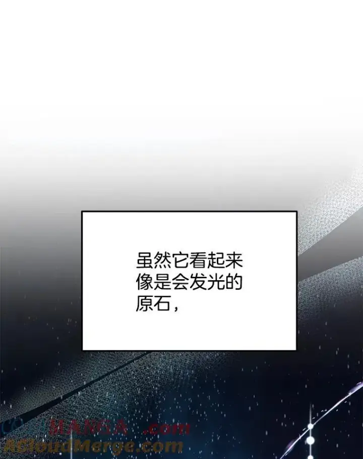 《神级英雄们的继承者》48.魔力石图77
