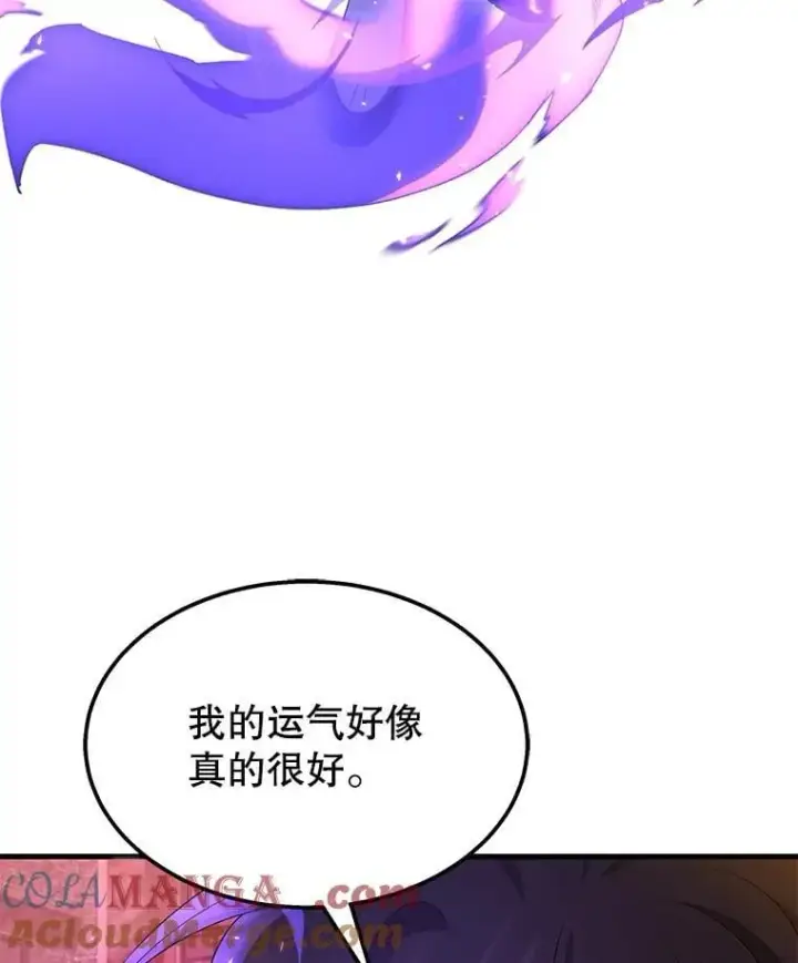 《神级英雄们的继承者》55.假象的权能图5