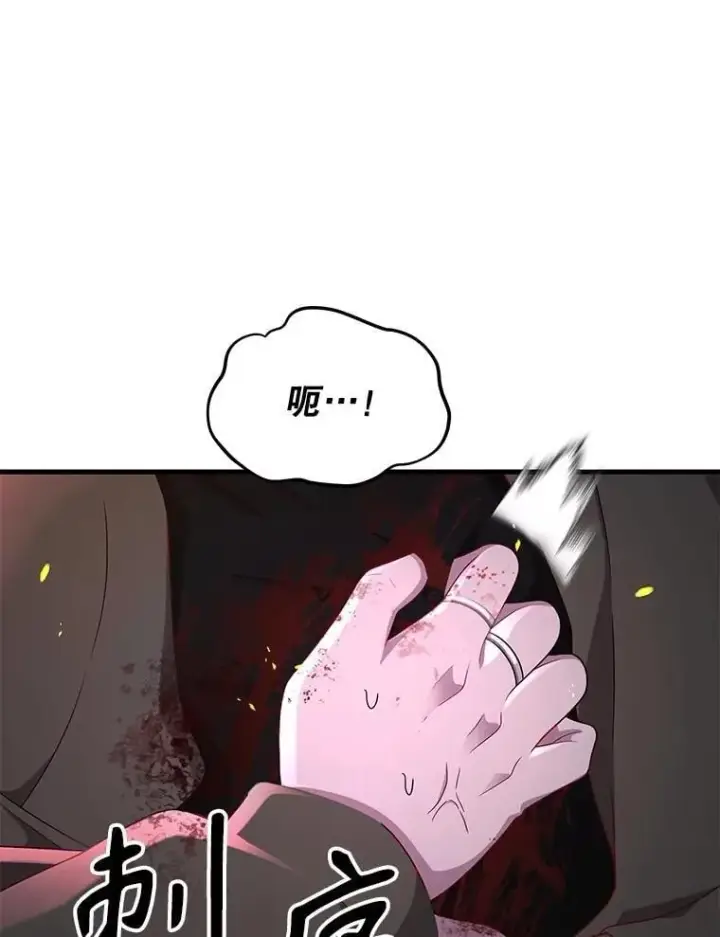 《神级英雄们的继承者》59.天命公会图192