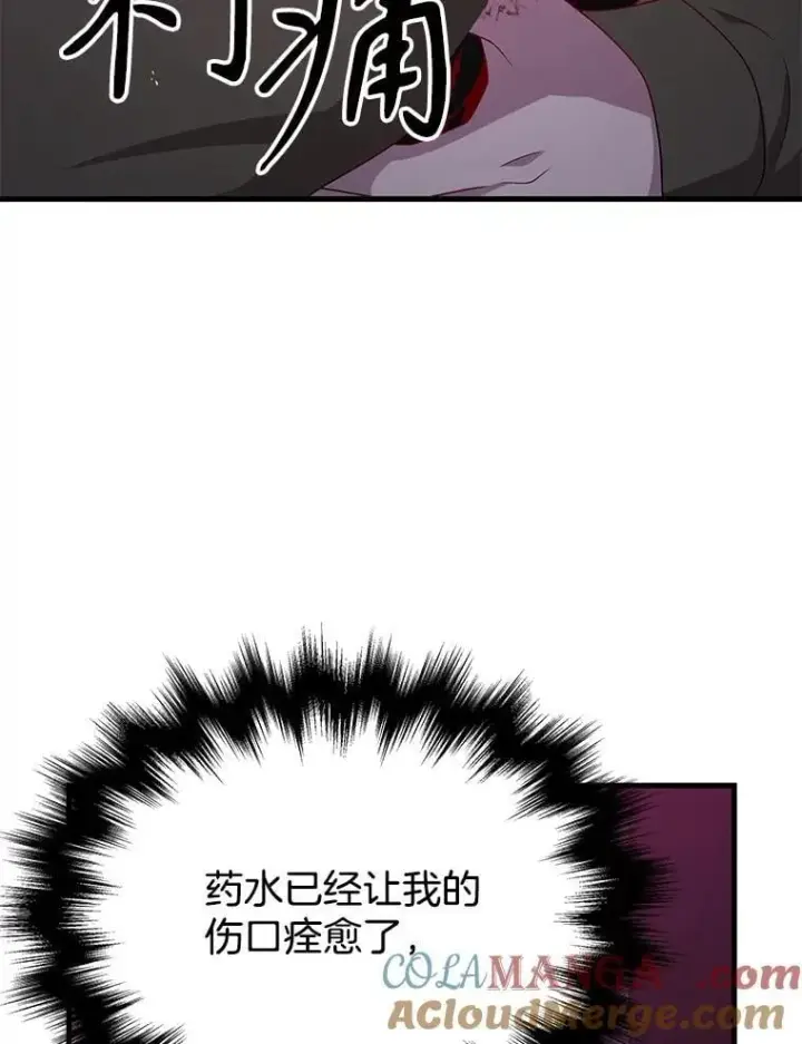 《神级英雄们的继承者》59.天命公会图193