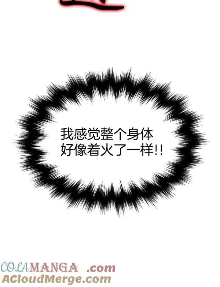 《神级英雄们的继承者》59.天命公会图197