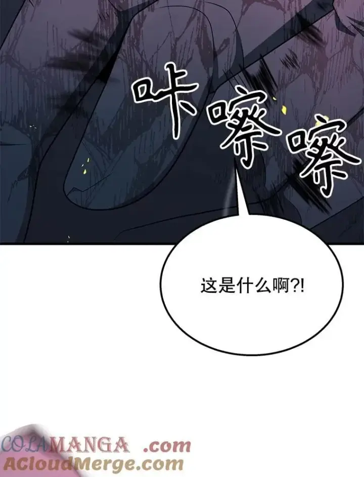 《神级英雄们的继承者》59.天命公会图61