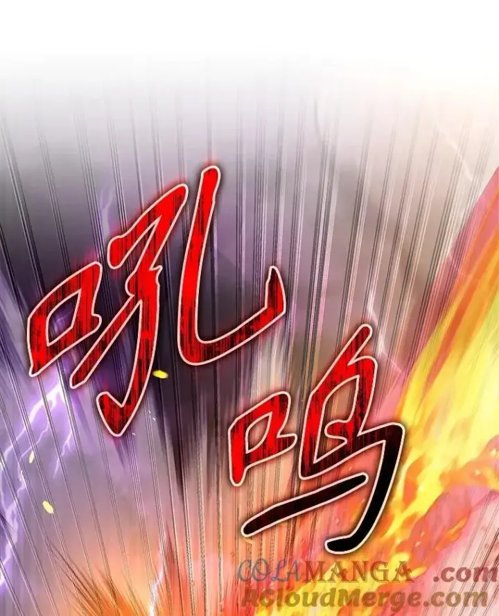 《神级英雄们的继承者》59.天命公会图9