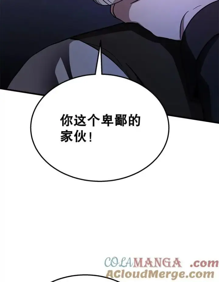 《神级英雄们的继承者》67.双双被擒图93