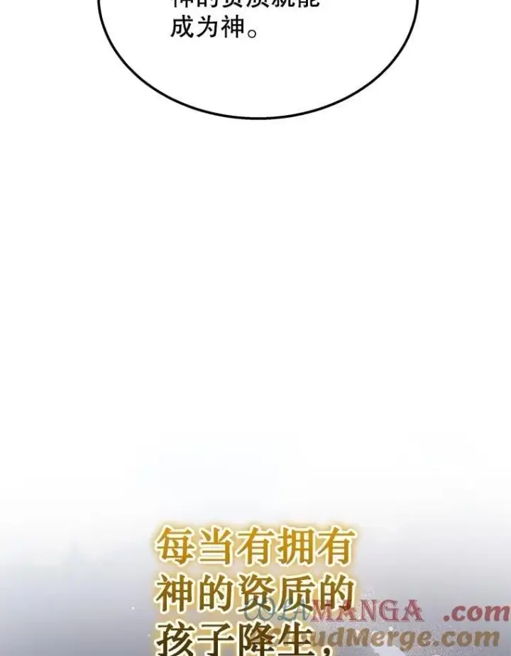 《神级英雄们的继承者》73.造物主图205