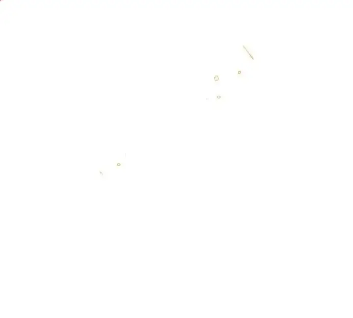 《身为恶役女配的我养成病娇女主很正常吧？！》014 命运却要你们自相残杀图38