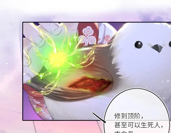 《神医凰后》第12话 师徒幻梦图33