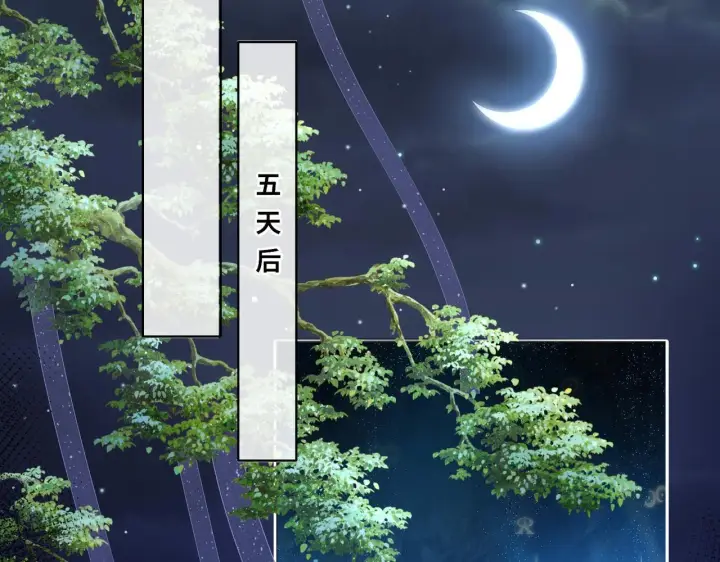《神医凰后》第20话 激活！凤凰神血图47