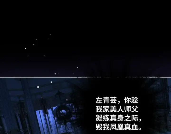 《神医凰后》序章 天才变废材图42