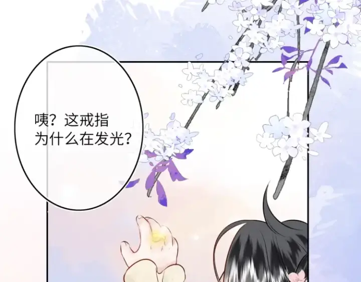 《神医凰后》序章 天才变废材图47