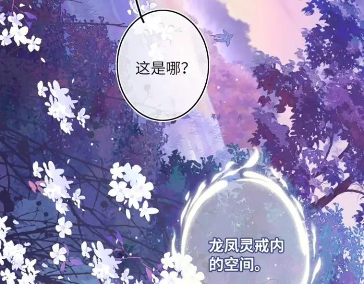 《神医凰后》序章 天才变废材图51
