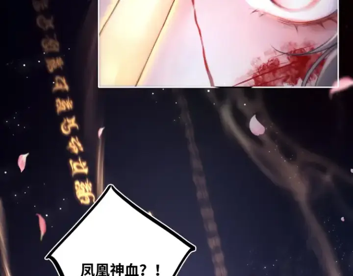 《神医凰后》序章 天才变废材图72
