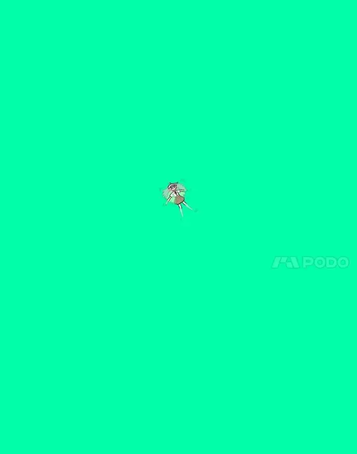 《时间静止的房子》82.默默的苦衷图8
