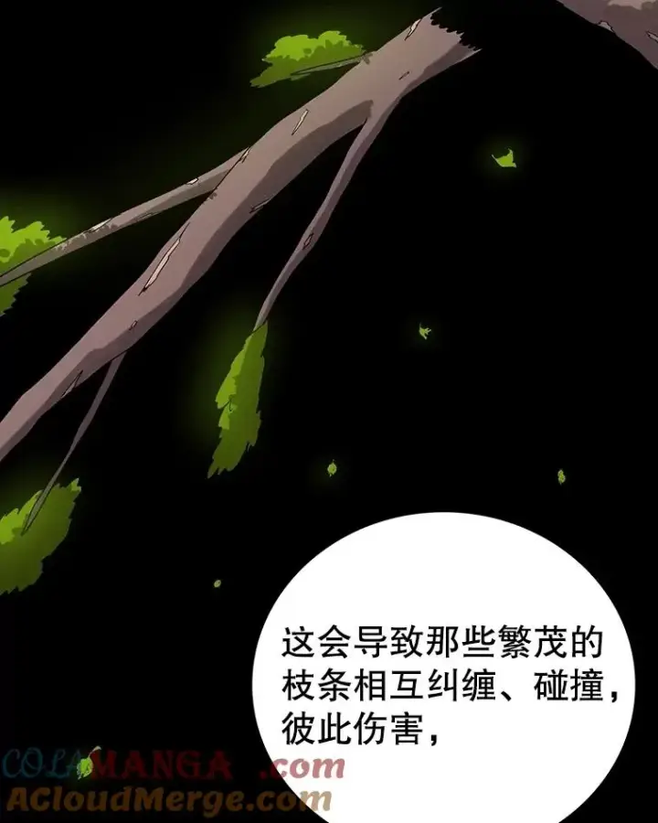 《时间静止的房子》151.剪枝图21