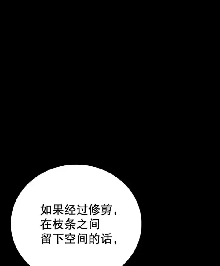 《时间静止的房子》151.剪枝图23