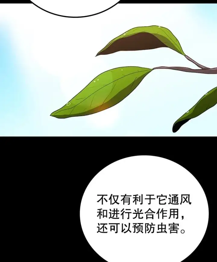 《时间静止的房子》151.剪枝图24
