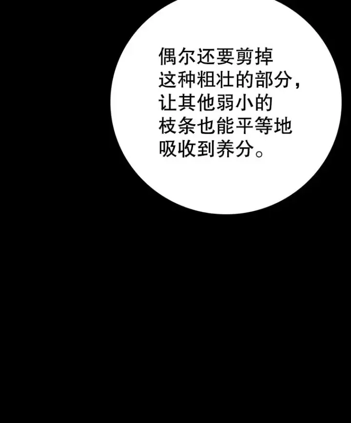 《时间静止的房子》151.剪枝图27