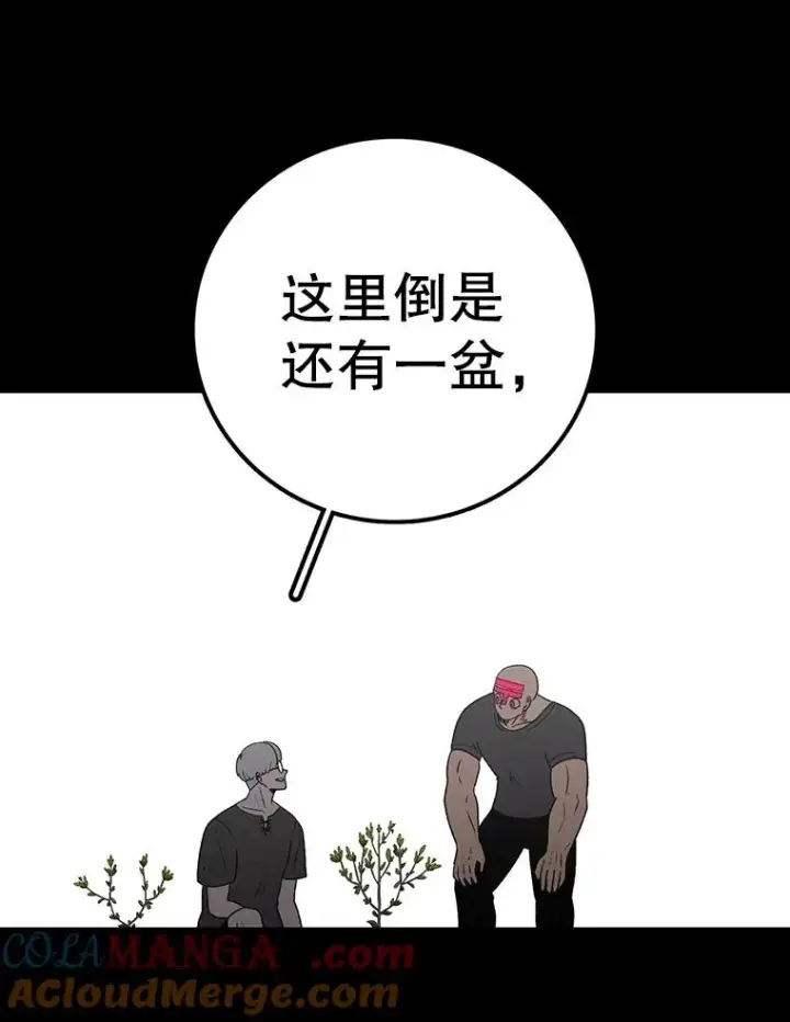 《时间静止的房子》151.剪枝图37