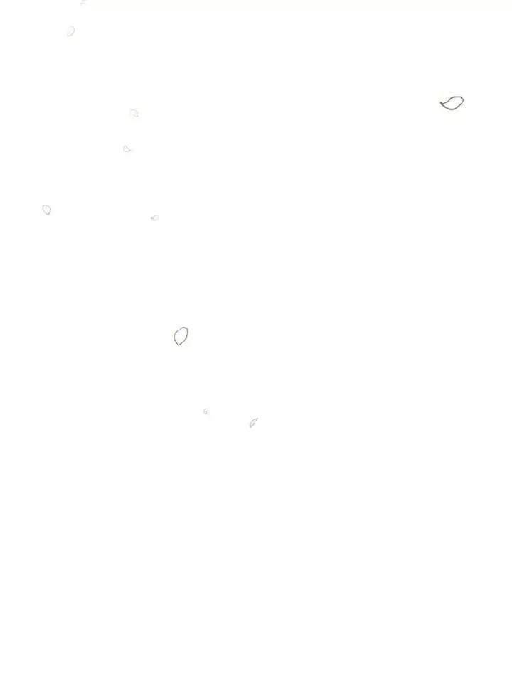 《时间静止的房子》166.享受庆典图174