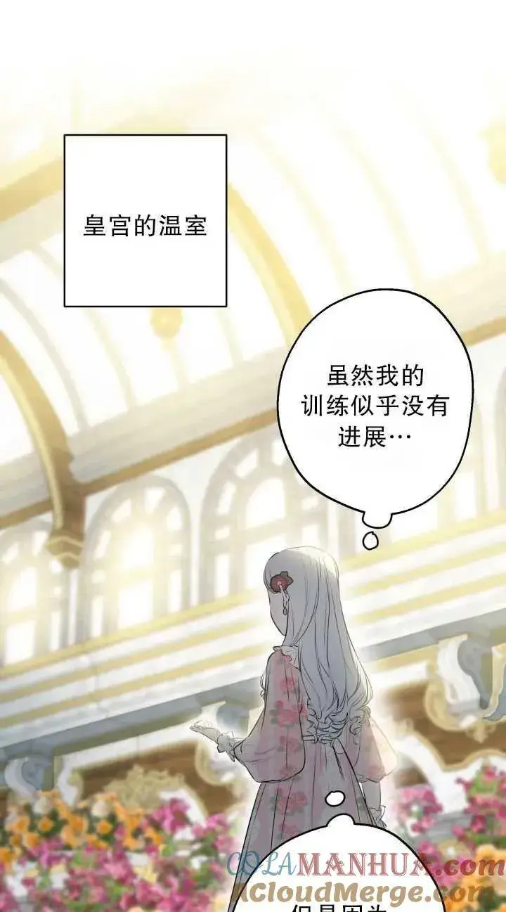 《世界最强者们都为我倾倒》第80话图40