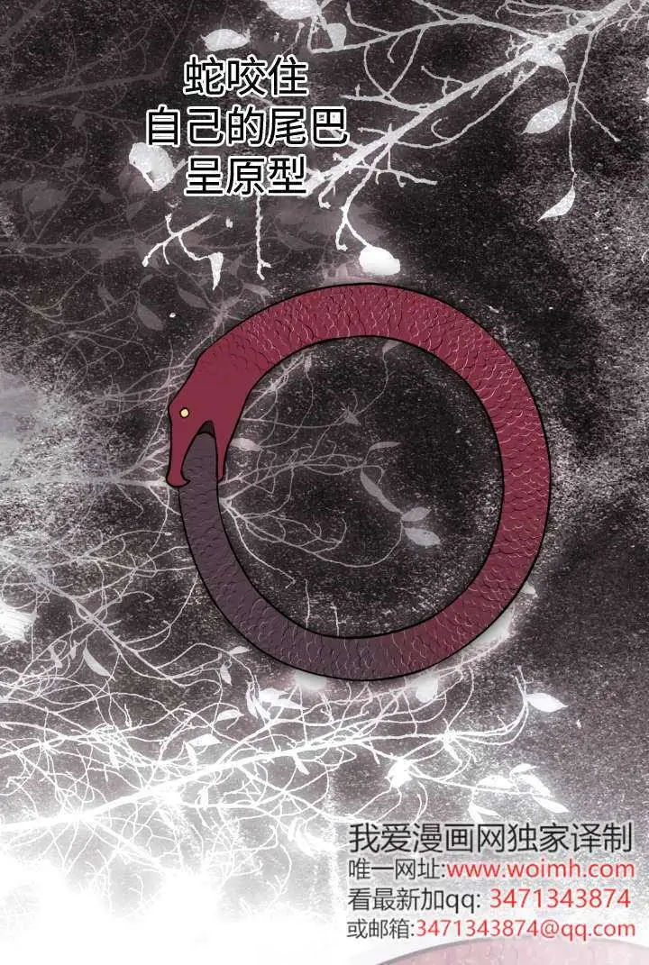 《世界最强者们都为我倾倒》第132话图46
