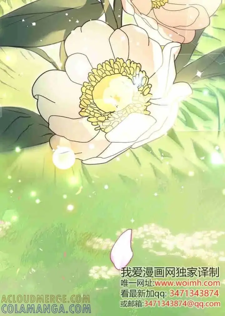 《世界最强者们都为我倾倒》第161话图41