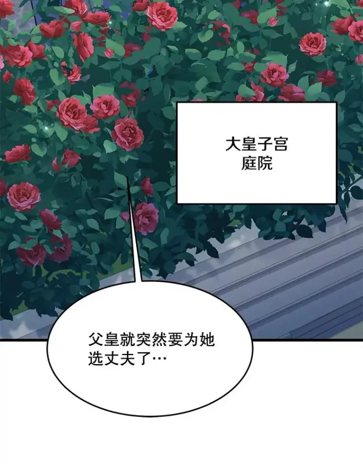《史诗级枪骑士再临》99.花语图67