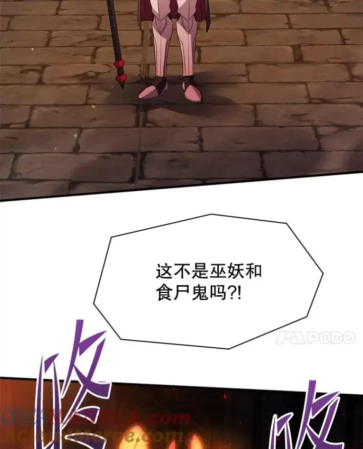 《史诗级枪骑士再临》106.战斗魔法师图49