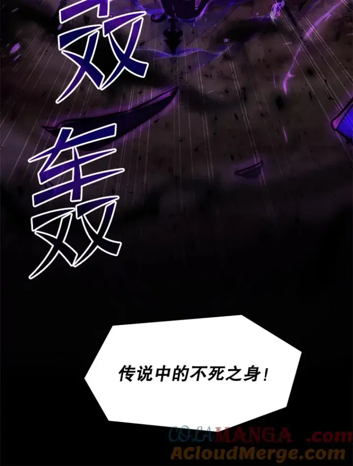 《史诗级枪骑士再临》114.重身幽灵图69