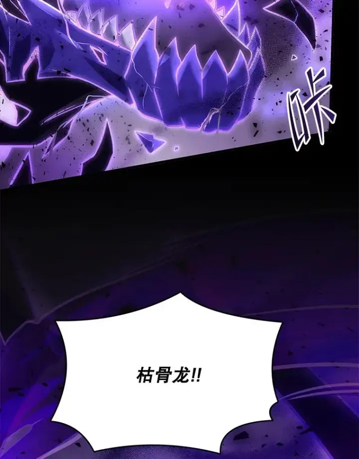 《史诗级枪骑士再临》114.重身幽灵图71