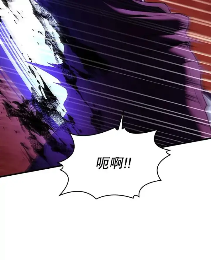 《史诗级枪骑士再临》116.复仇图104