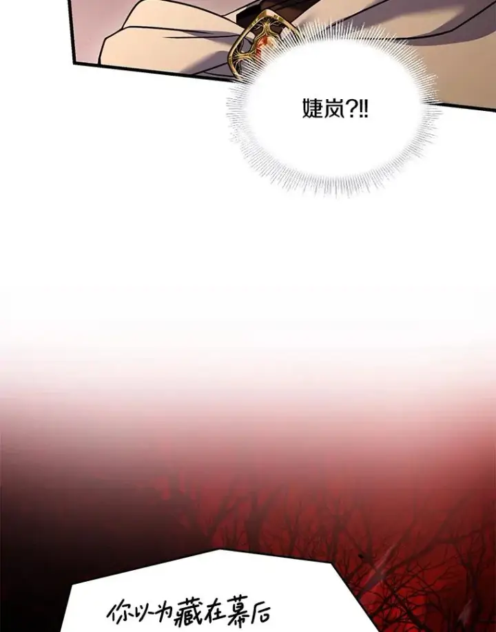 《史诗级枪骑士再临》116.复仇图118