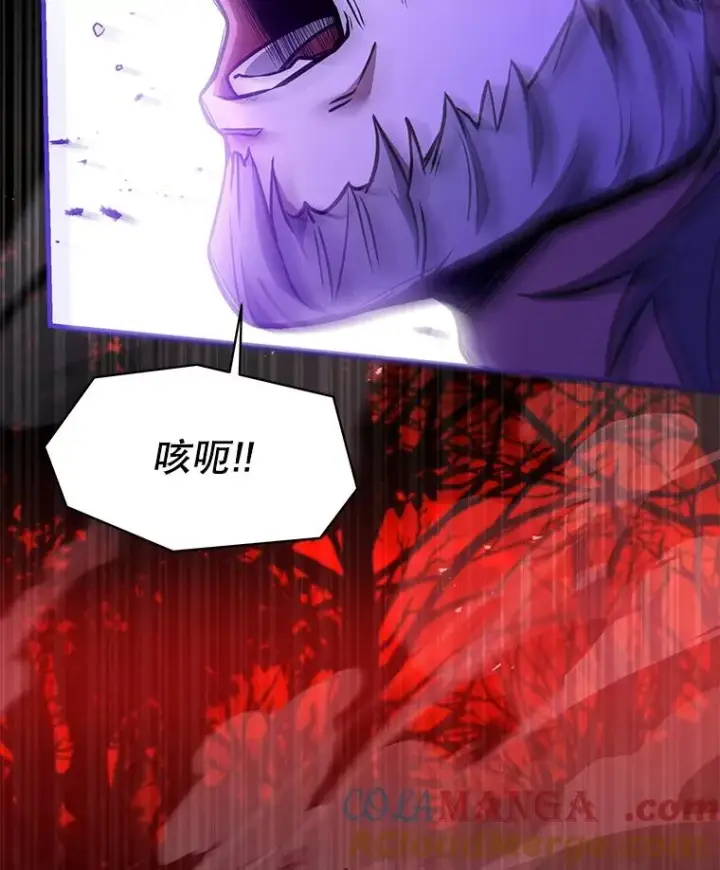 《史诗级枪骑士再临》116.复仇图141