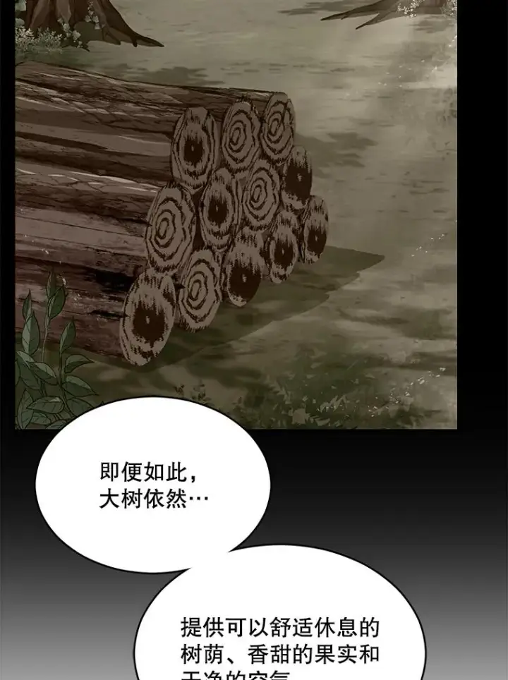 《史诗级枪骑士再临》116.复仇图151